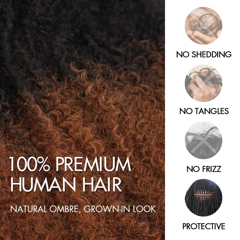 QVR Ombre Brown #T1B/30 Afro kinky Bulk Human Hair for Braiding & Twists - Image 9